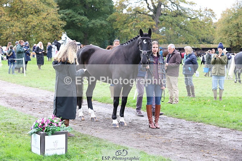 251026A-113724-25571 - F-424-Anastasia.Eaton