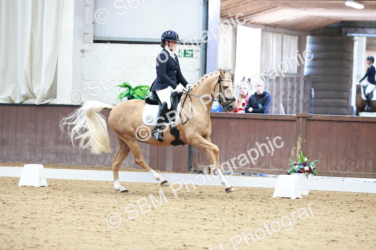 SBM_017319 - Class15 - FEI Pony