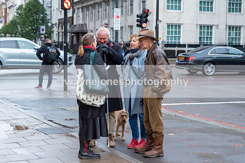 NGP_7011 - Animals In War Memorial - 10-11-23