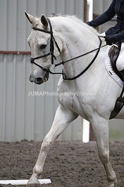 SIAL5752 - CAbin Dressage 5th july 2025