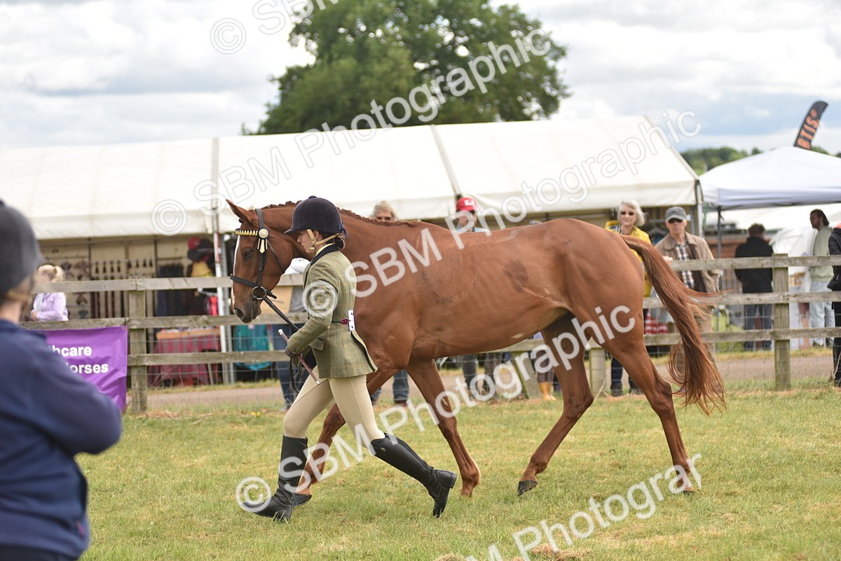 SBM_15123 - Class 113-114 - Retraining of Racehorses Ridden