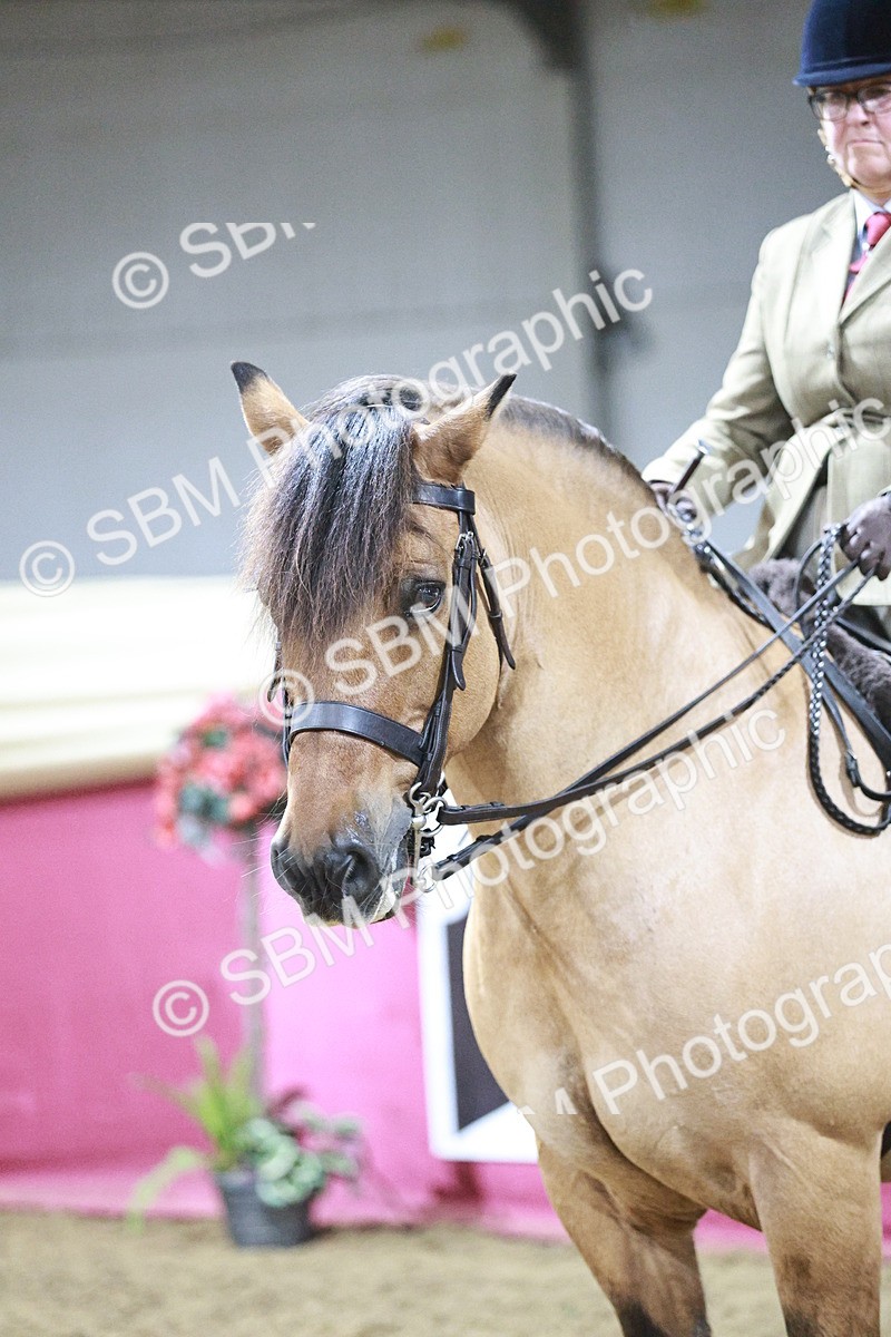 SBM_08072 - Class 11R - Regional Ridden Veteran