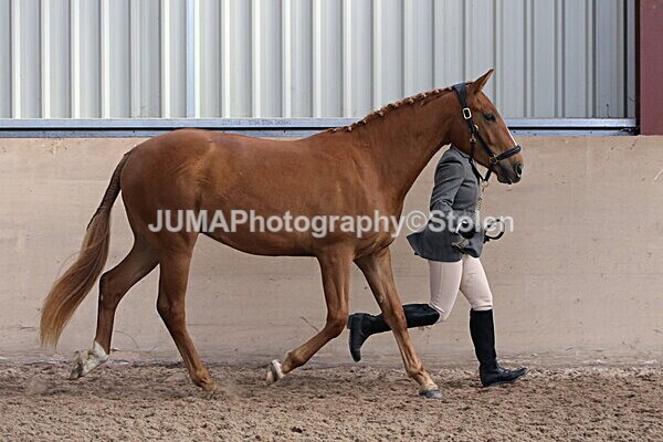 SIAL9315 - Indoor Classes