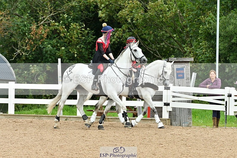 230804A-110308-01811 - Musical Ride