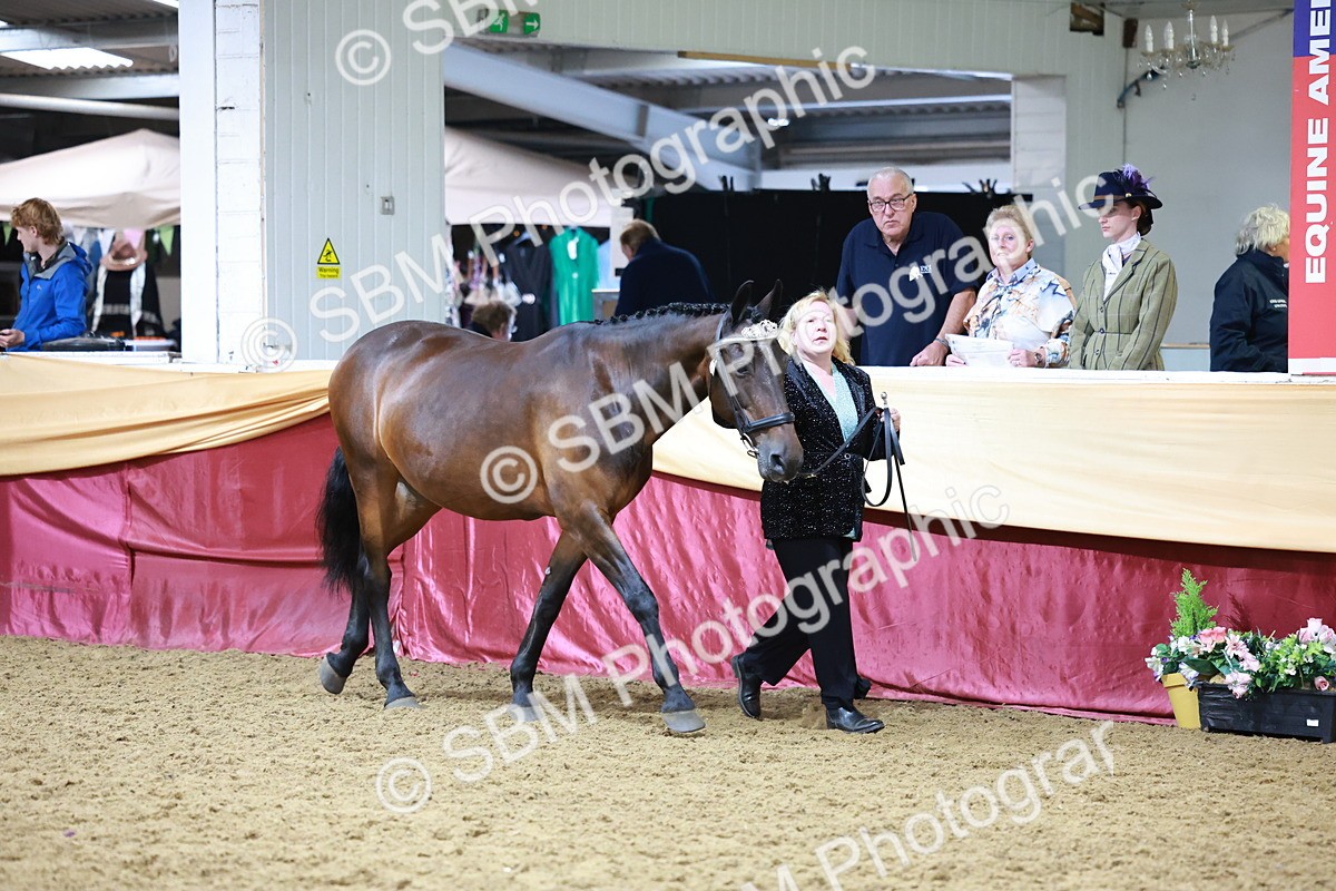 SBM_20084 - Class C - Novalty Champ