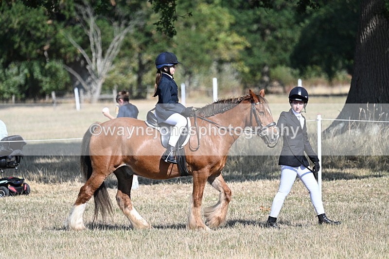 WJ7_3134 - Class 8 Ridden Tack & Turnout