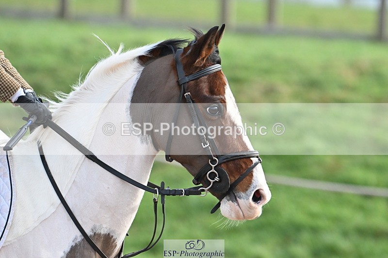 240127A-105205-00561 - SJ 60cm