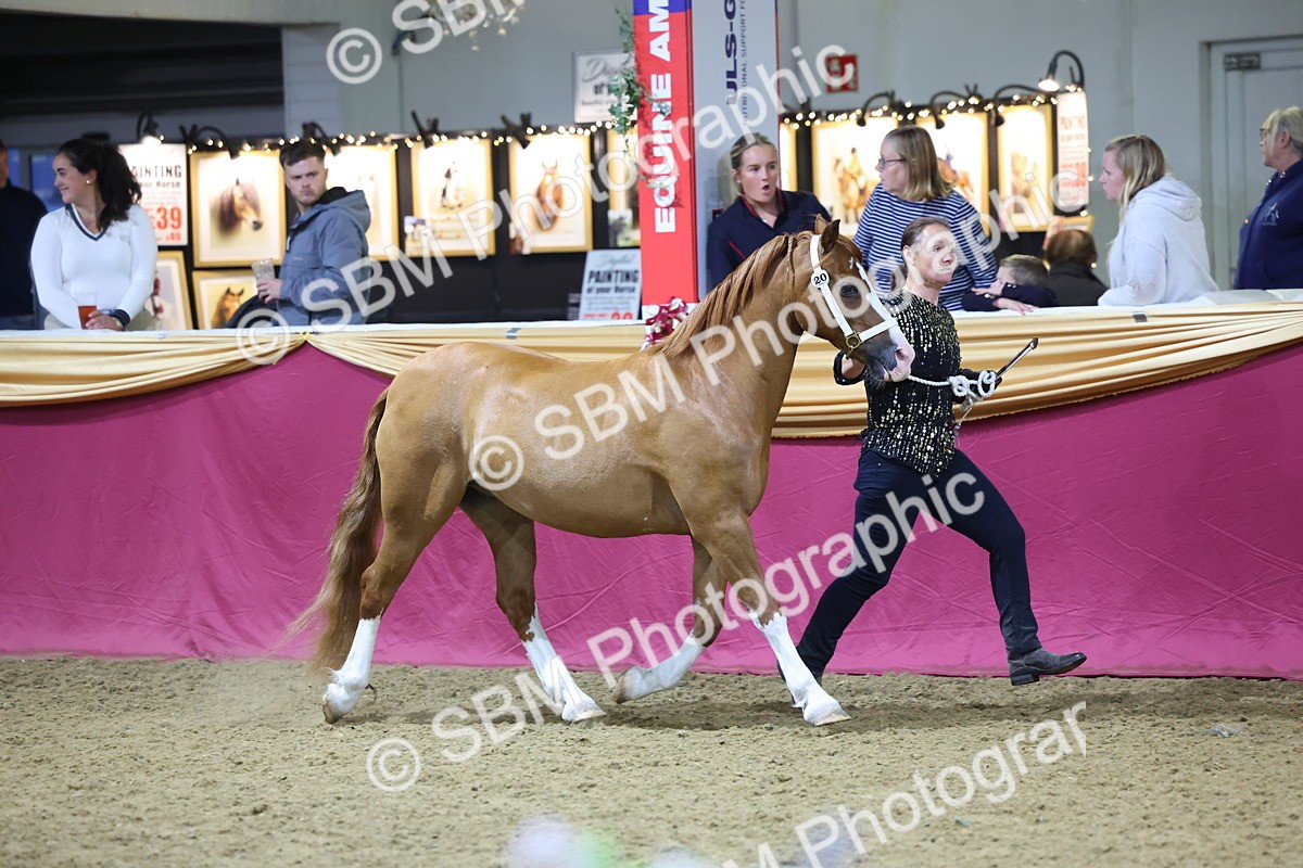 0B8A4401 - Class N M&M Champ