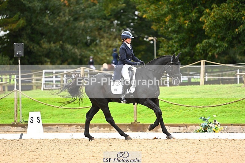 231021-115317-15014 - 343-MIDNIGHT.ROLLERCOASTER-Alison.Lidstone-DR