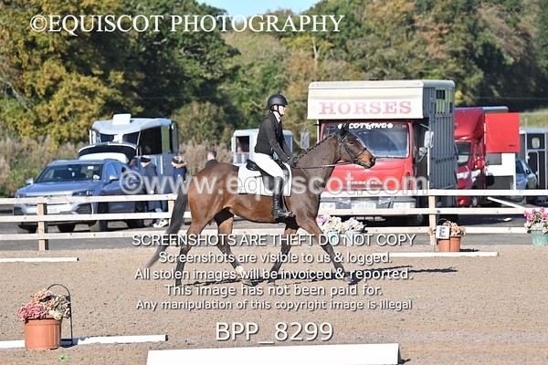 BPP_8299 - SHORT ARENA