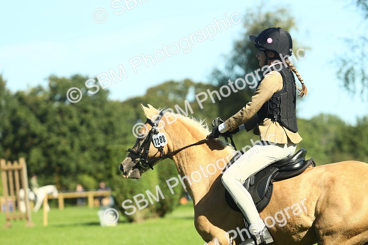 SBM_37486 - S29 - Novice & Newcomers Working Hunter Pony