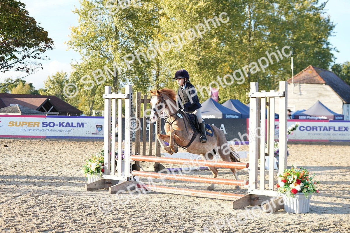 SBM_54092 - Supreme Championship 60cm 65cm