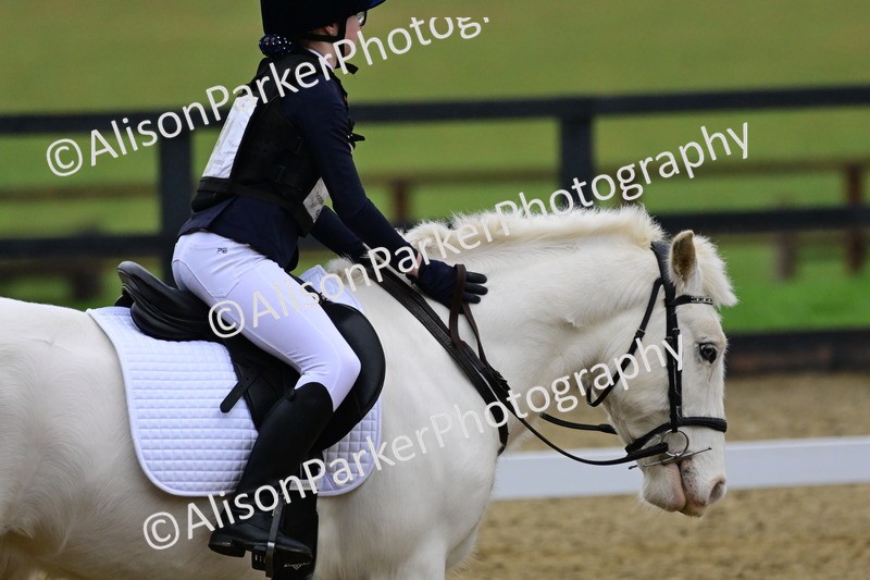 20260125-0598 - Class 9b - Walk Trot Unassisted