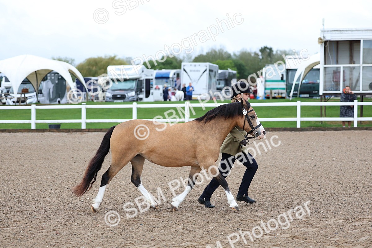 SBM_00242 - Class 13 - Young Handler
