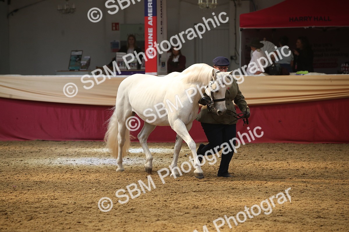 SBM_05618 - Class 9R - Regional IH Pre-Vet