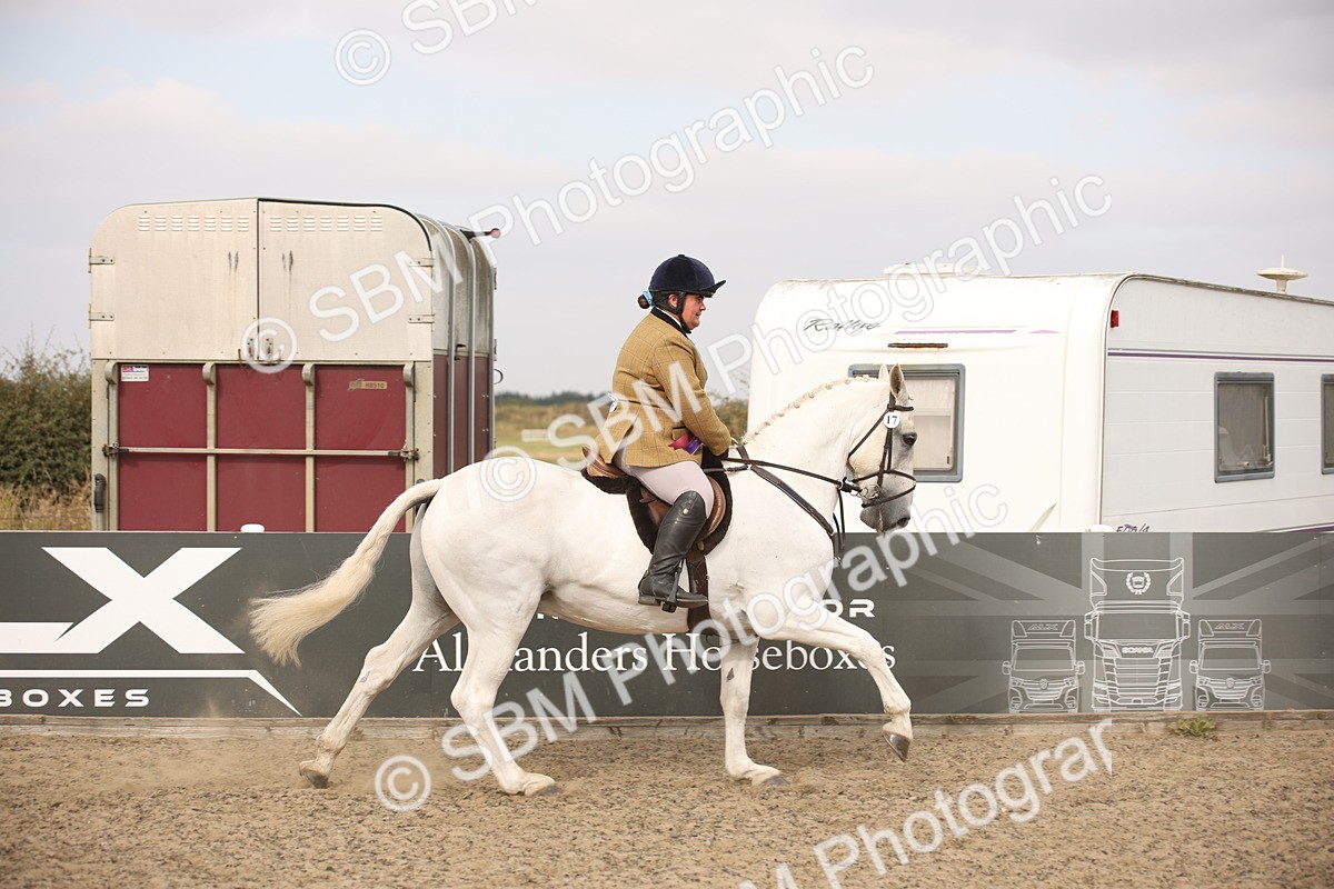 SBM_16248 - Class 409a - Working Veteran 80cm (15-19)