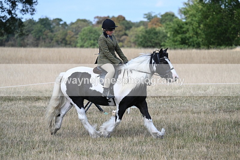 WJ7_6805 - Class 14 Ridden Coloured