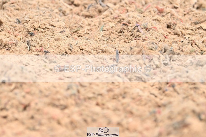 250620-121841-02079 - BD Cls 5 - Novice 6, 12.10pm to End