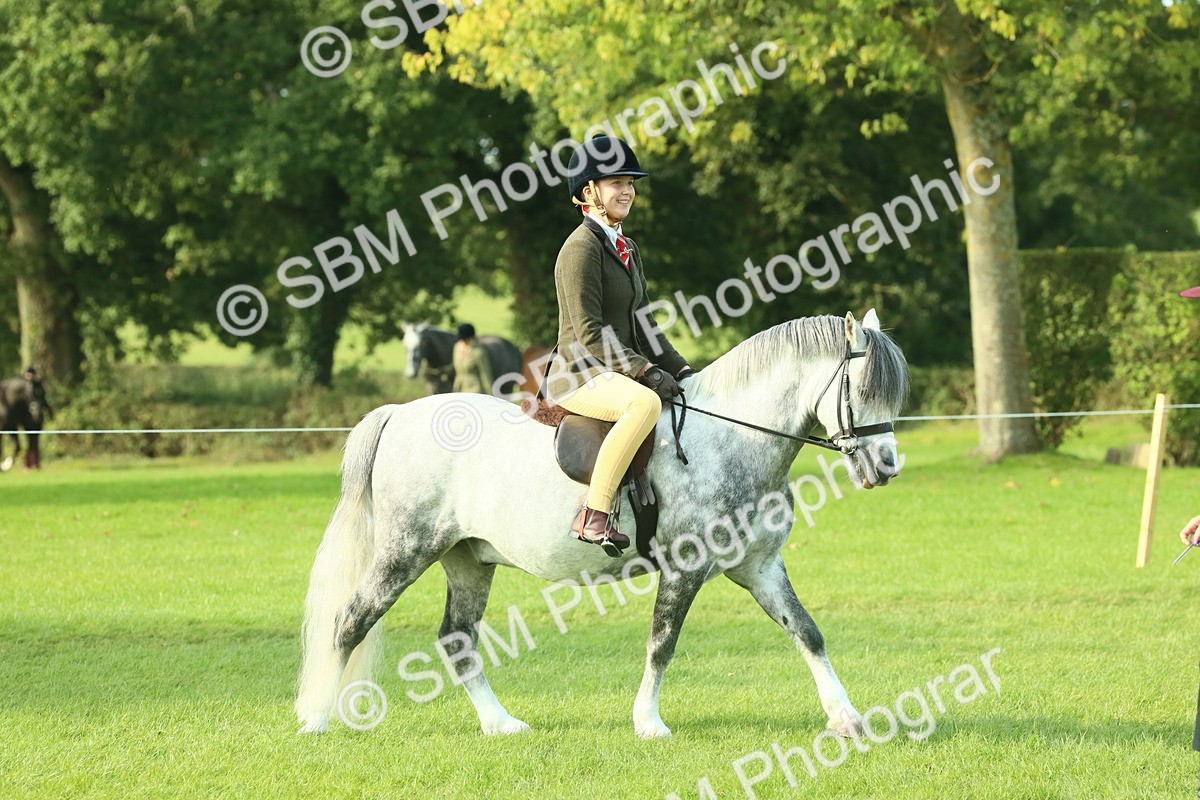 SBM_59322 - S38 - Starters Ridden Showing