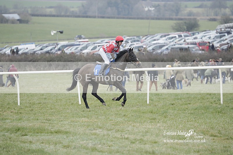 PtP 040323 601 - Duke of Beauforts Hunt Point-to-Point Didmarton 04/03/23