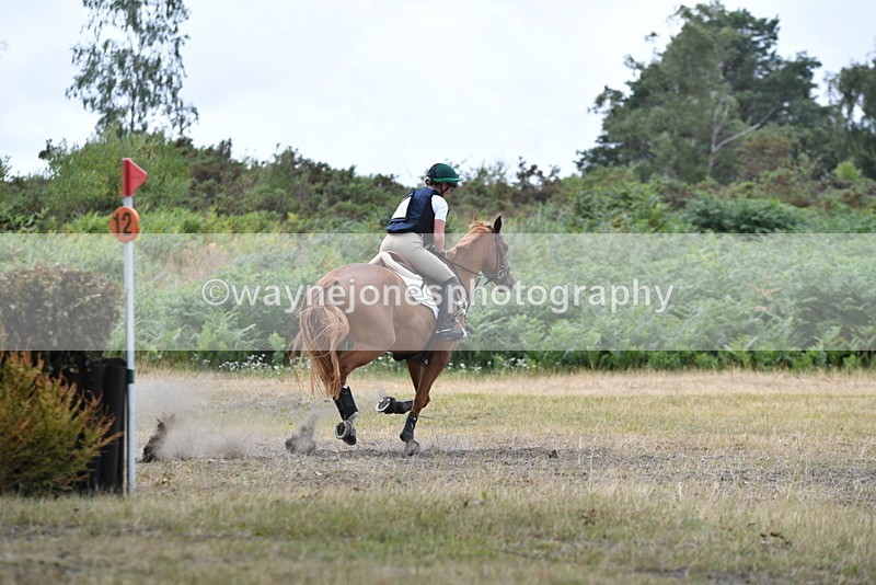 WJ5_2137 - XC Time 12:56 to 13:21