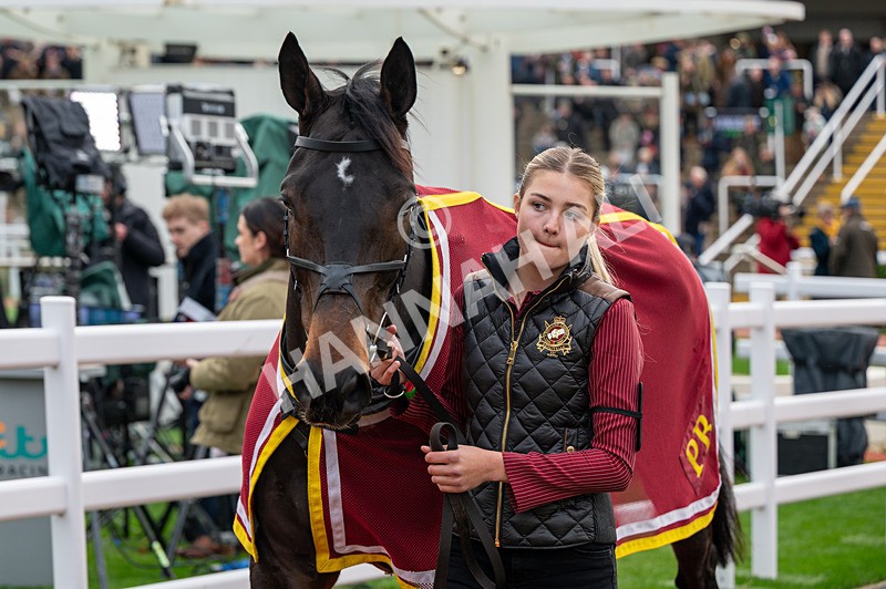 161125-Race 2-Queensbury Boy-1332 - Race 2
