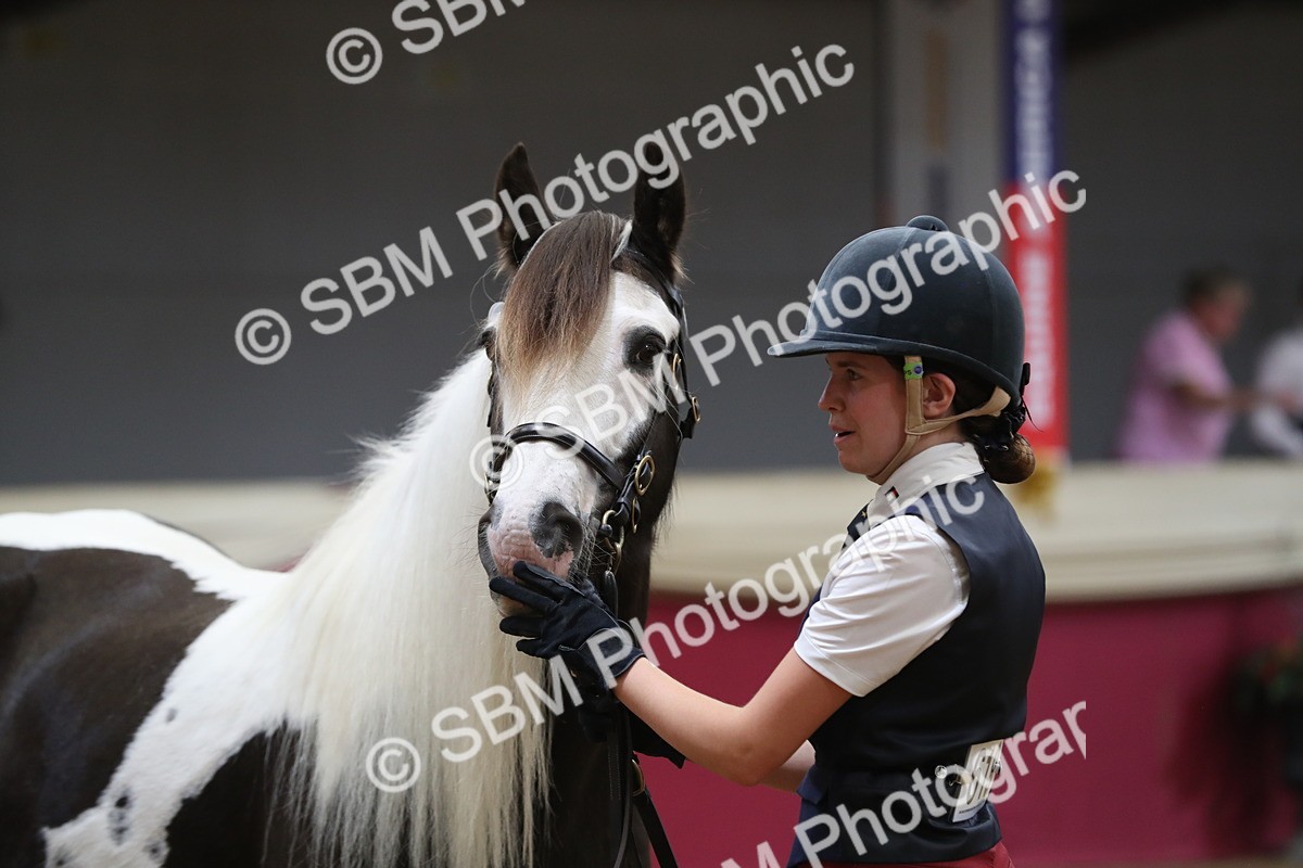 SBM_06401 - Class 9R Regional- IH Pre Vet