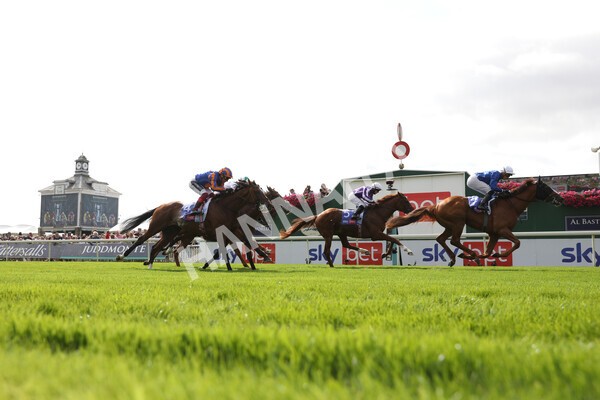 yr18082021r3-51 - Race 3 3.00pm Sky Bet Great Voltigeur Stakes
