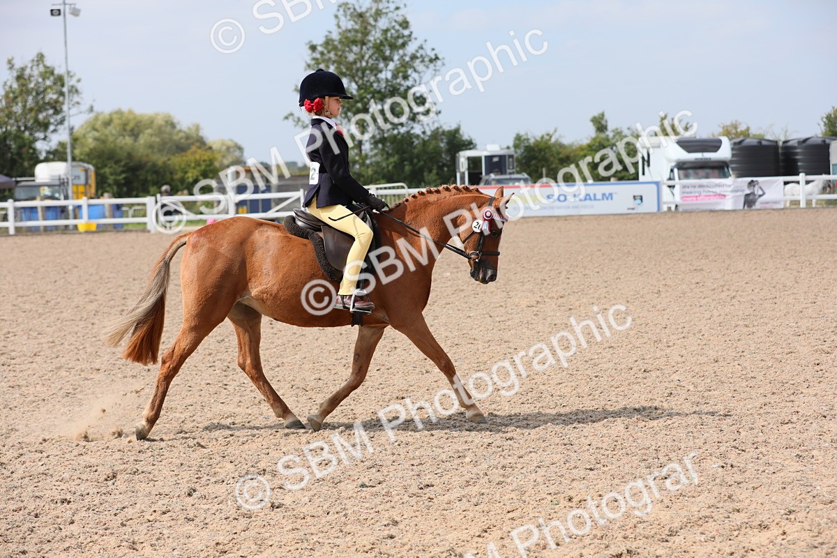 SBM_14712 - Class 310 First Ridden Pony