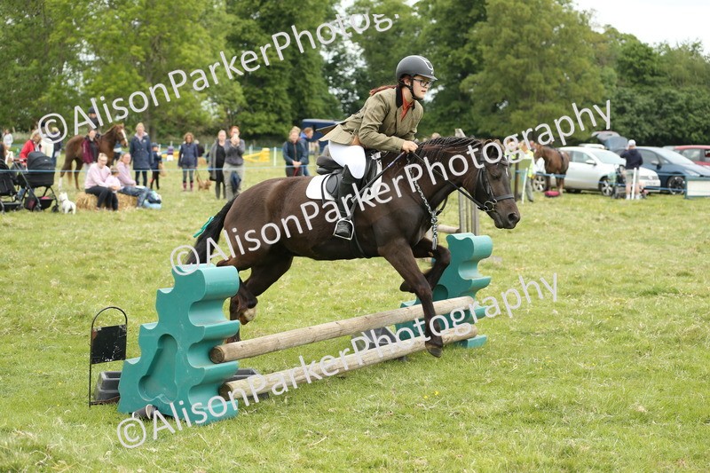 20250517-1017 - Class 21 - Novice Working Hunter