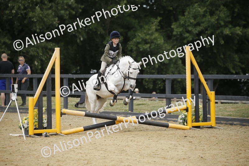 20250622-4739 - 50cm