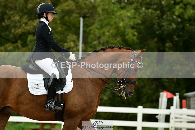 230912A-152825-01571 - Cls 13 Adv Medium 91