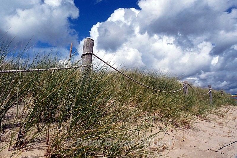 Dunes, Knoll beach, Dorset - The Coast