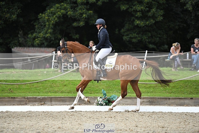 230812-122132-04102 - Cls 6 Novice Silver 12.10 to End