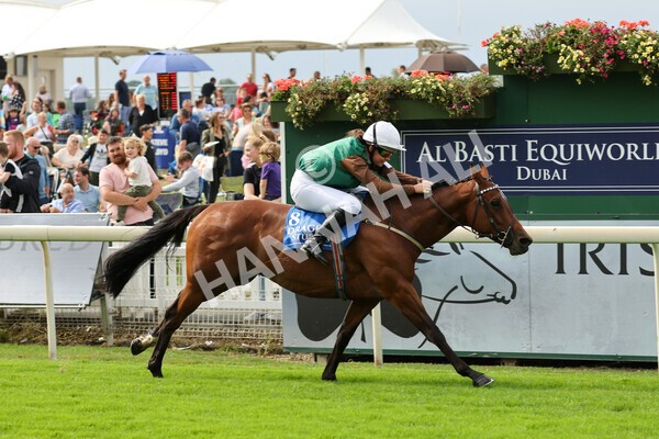 yr04092022p2-37 - 12.50pm. 148cm Open Pony Race