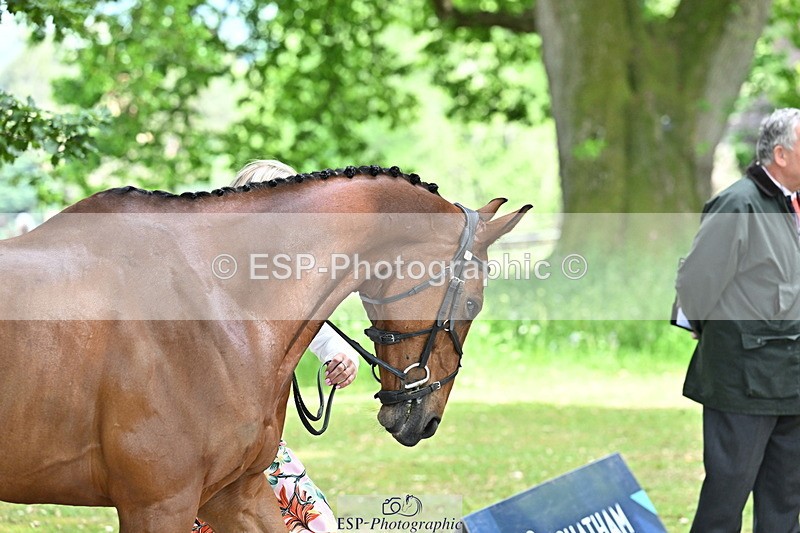 250521A-151828-00413 - B-362-Kat.Raybould-THE.ELLFIELD.DIKSTER