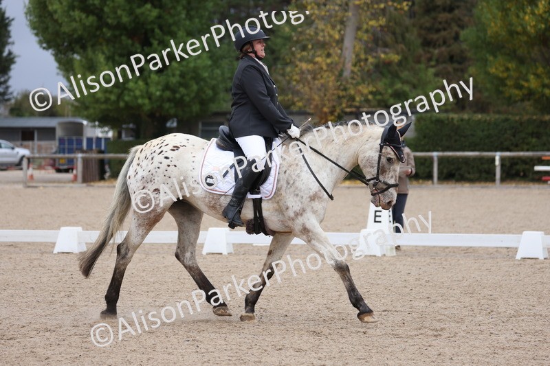 20250820-0100 - Class 7 - My Quest Intro 3