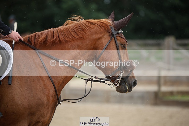 230708-121001-13641 - Cls 26 Newcomers & 1.10m Open