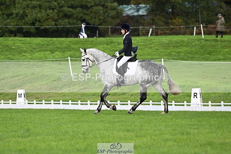 251023A-104700-02595 - G-509-Millie.Bloomfield