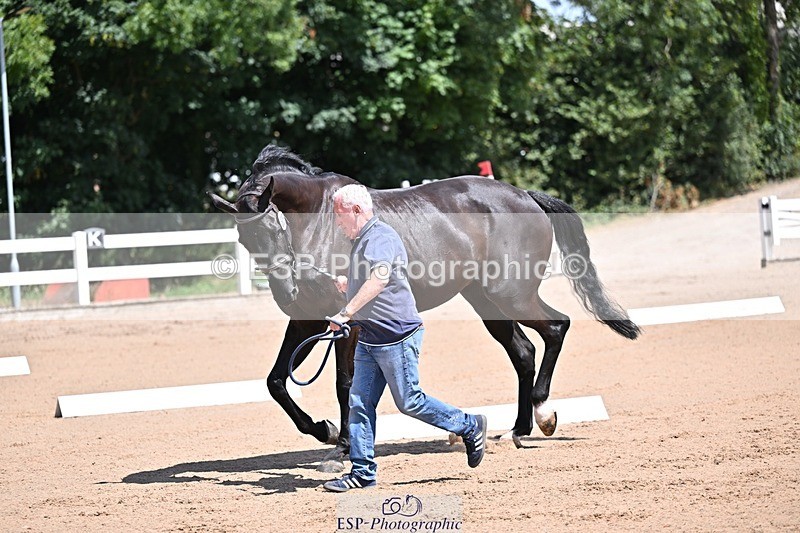250716-123356-00054 - Trot Up 12.30 to 1.30