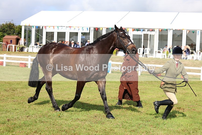 3E7A9116 - Class 3: Rising Star S/L Hunter