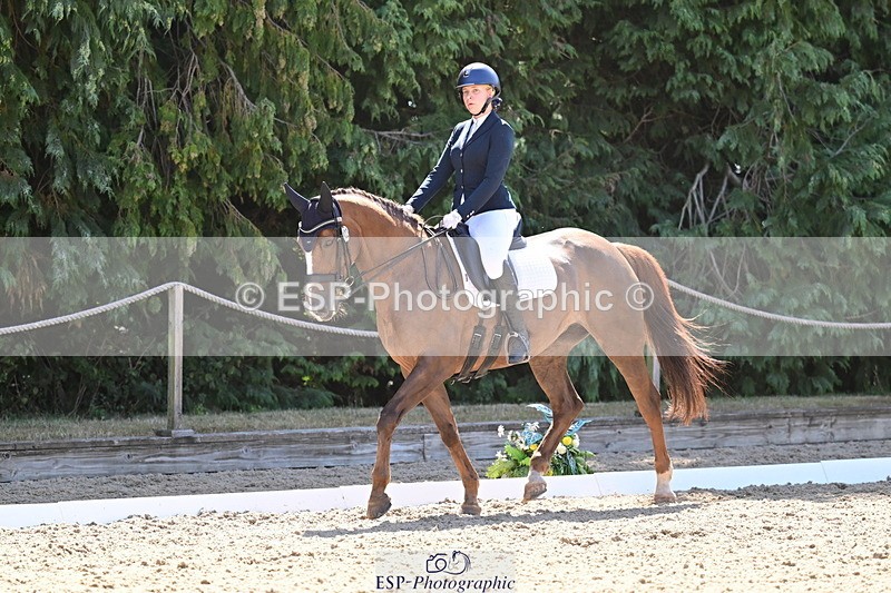 260731A-112359-00335 - Elementary Bronze 10.30 - Break