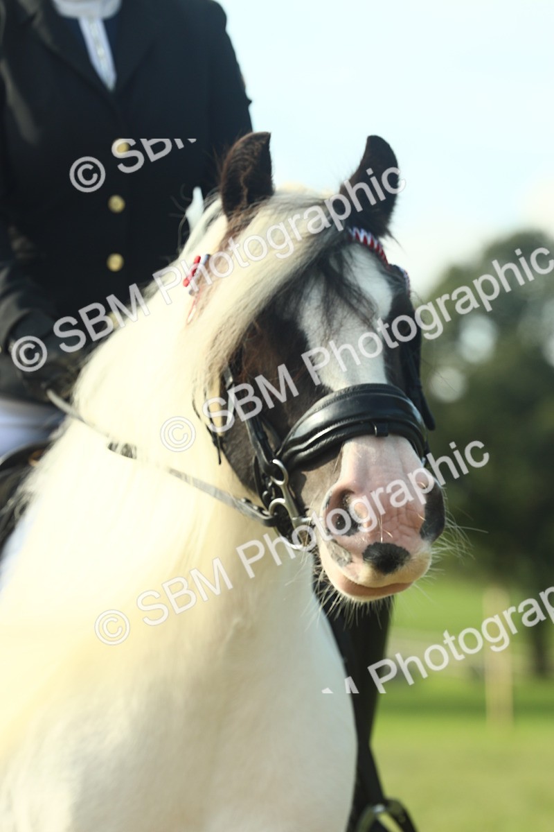 SBM_59949 - S38 - Starters Ridden Showing