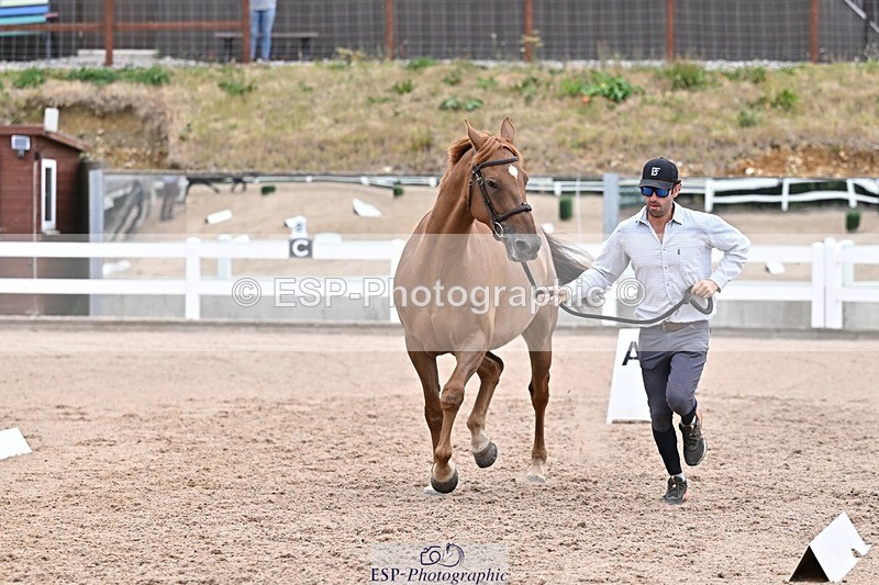250716-134154-00640 - Trot Up 1.30 to 2.30