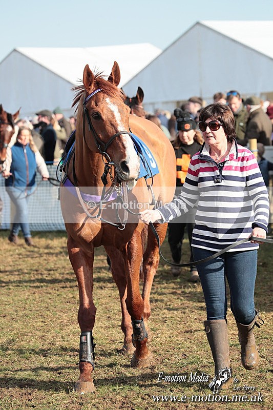 PtP 010325 398 - Beaufort Races Didmarton 01/03/25