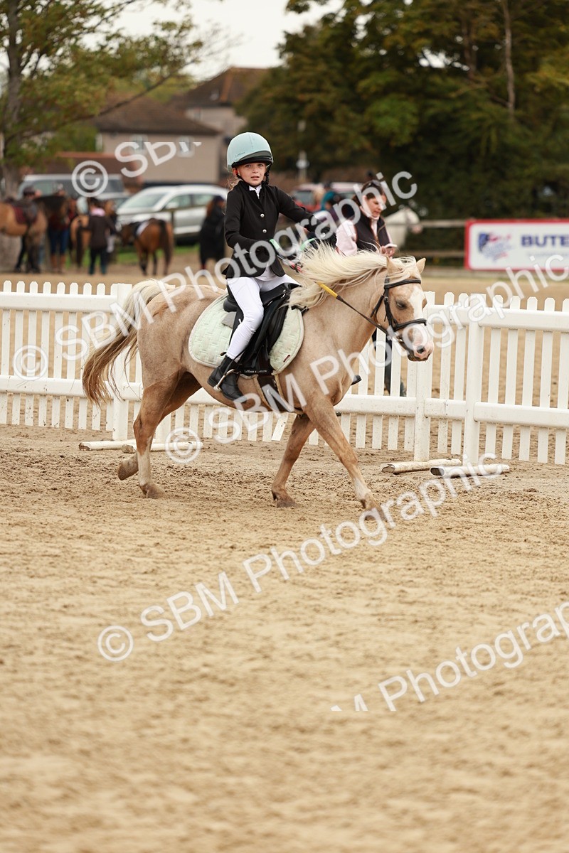SBM_57921 - J11 - Junior Pony 50cm Championship