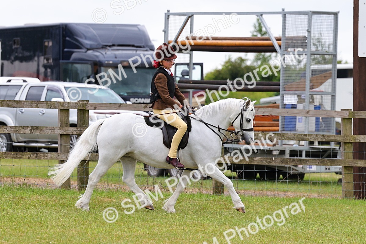 SBM_08716 - Class 42-43 - LIHS BSPS Heritage Working Sports Pony