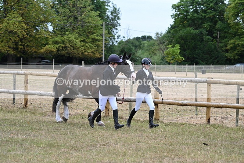 WJ7_8919 - Class 4a Prettiest Mare 14.2hh and over