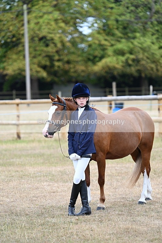 WJ7_8447 - Class 4 Prettiest Mare up to 14.2hh