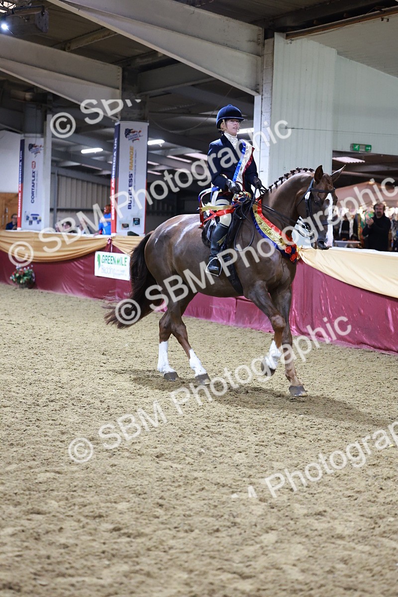 SBM_20725 - Class J - Foreign Breeds Champ
